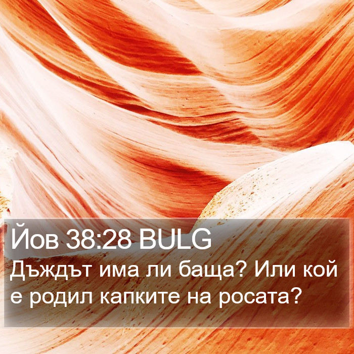 Йов 38:28 BULG Bible Study