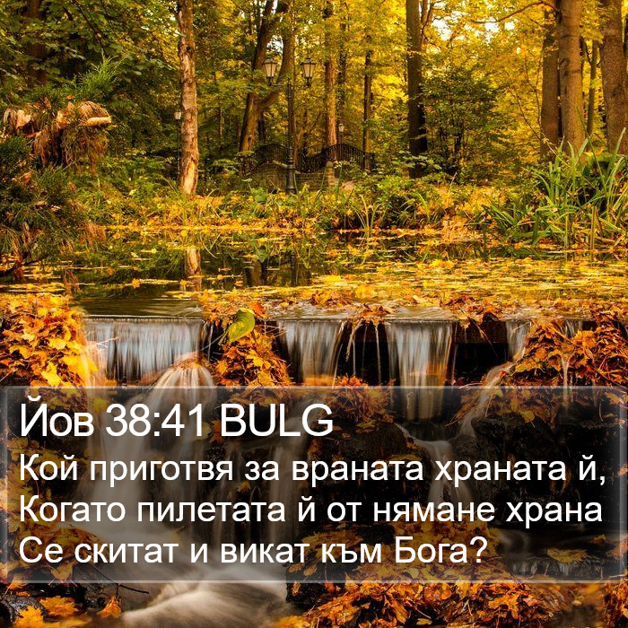 Йов 38:41 BULG Bible Study