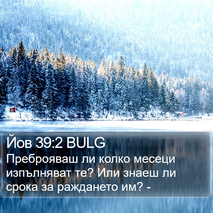 Йов 39:2 BULG Bible Study