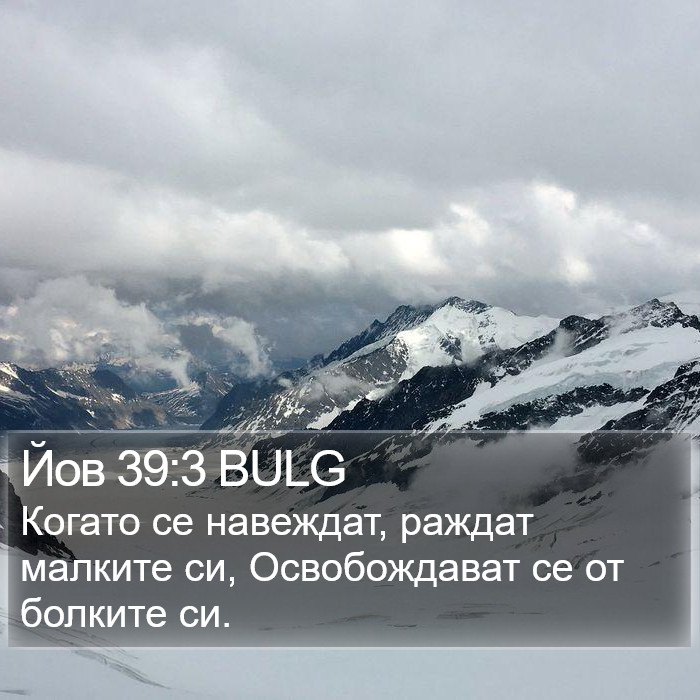 Йов 39:3 BULG Bible Study