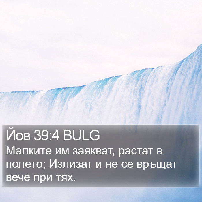 Йов 39:4 BULG Bible Study