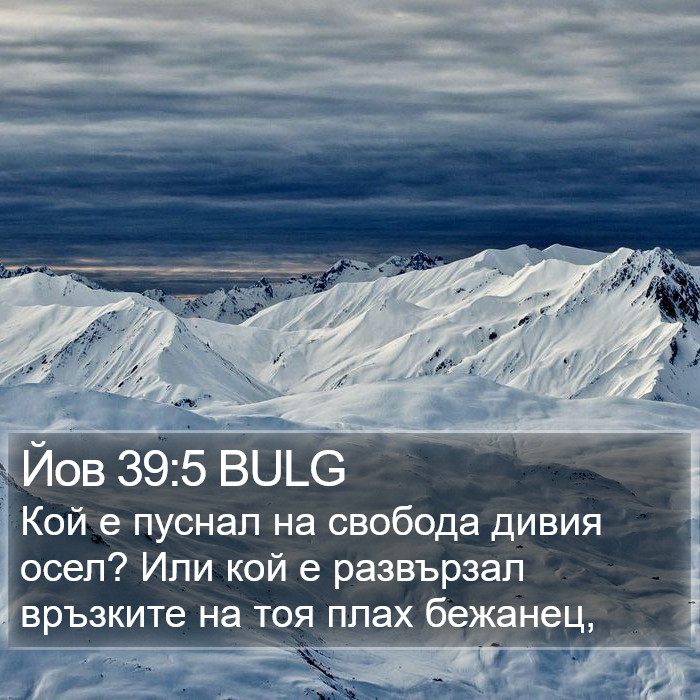 Йов 39:5 BULG Bible Study