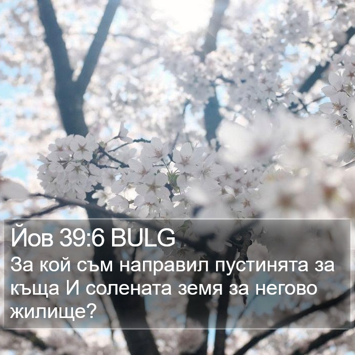 Йов 39:6 BULG Bible Study