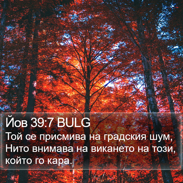 Йов 39:7 BULG Bible Study