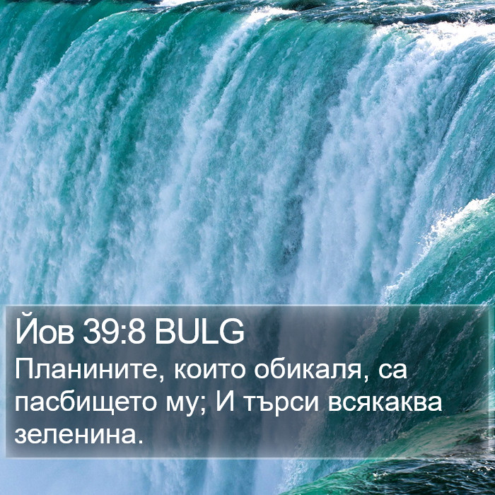 Йов 39:8 BULG Bible Study