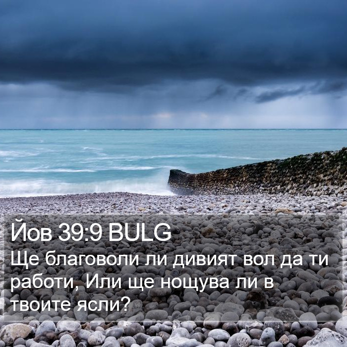 Йов 39:9 BULG Bible Study