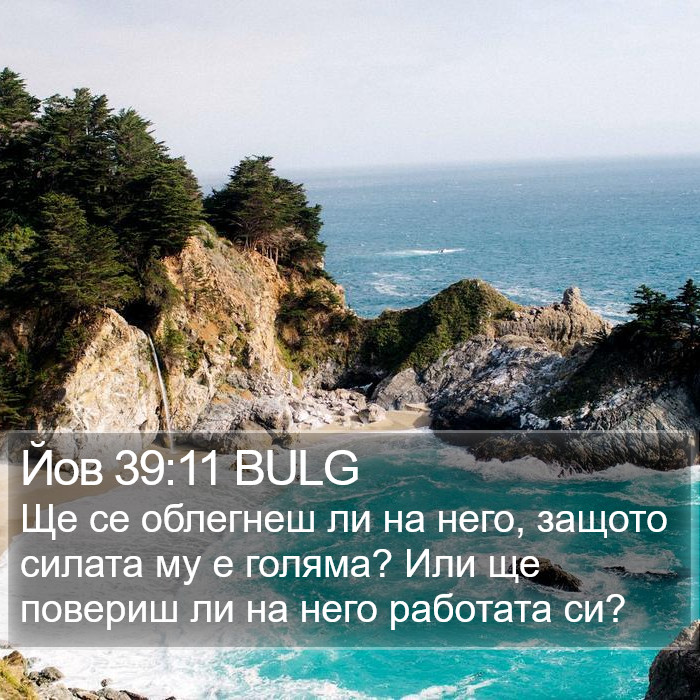 Йов 39:11 BULG Bible Study