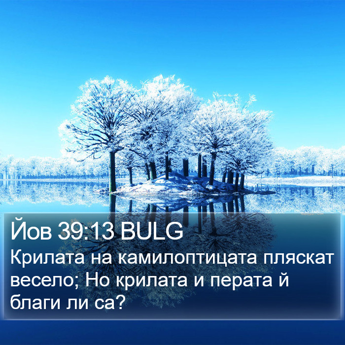 Йов 39:13 BULG Bible Study