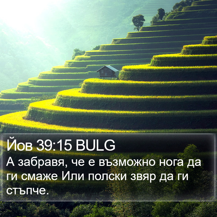 Йов 39:15 BULG Bible Study