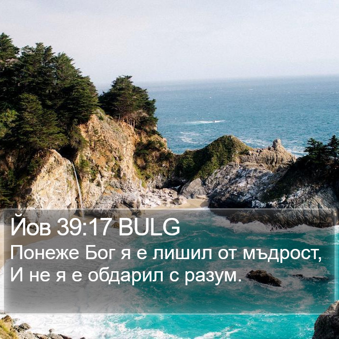 Йов 39:17 BULG Bible Study