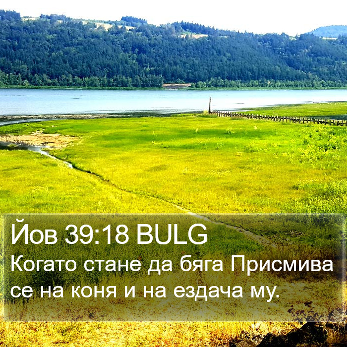 Йов 39:18 BULG Bible Study