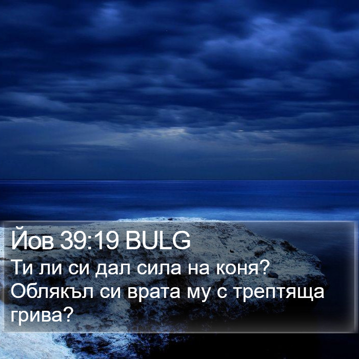 Йов 39:19 BULG Bible Study