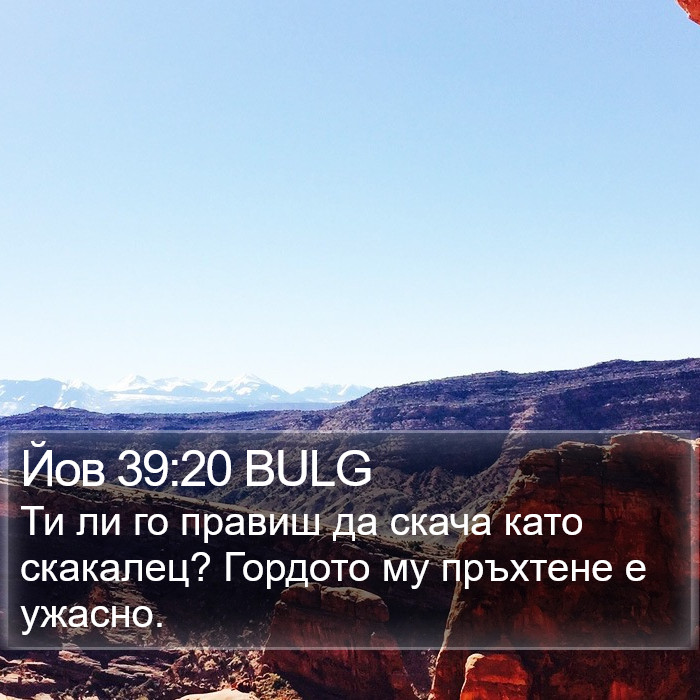 Йов 39:20 BULG Bible Study