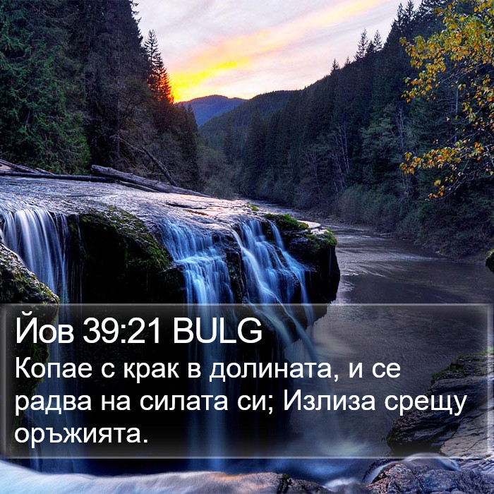 Йов 39:21 BULG Bible Study