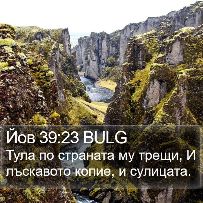 Йов 39:23 BULG Bible Study