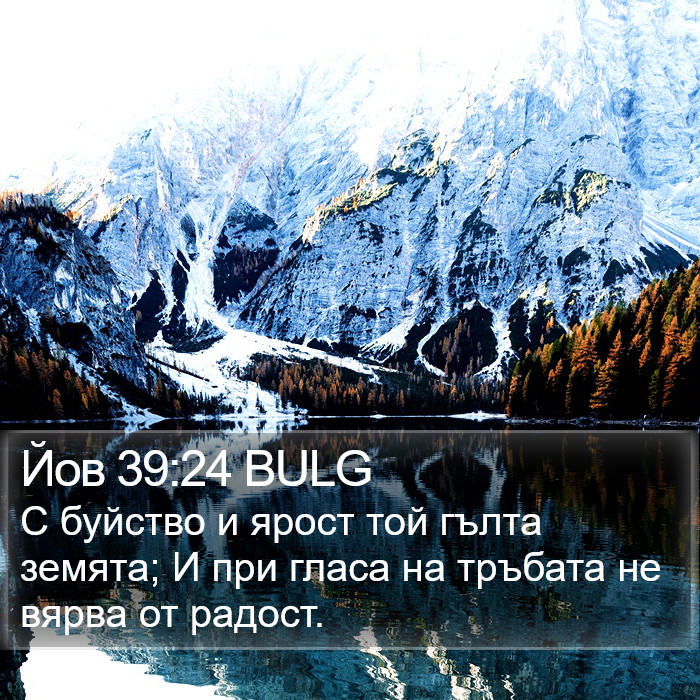 Йов 39:24 BULG Bible Study