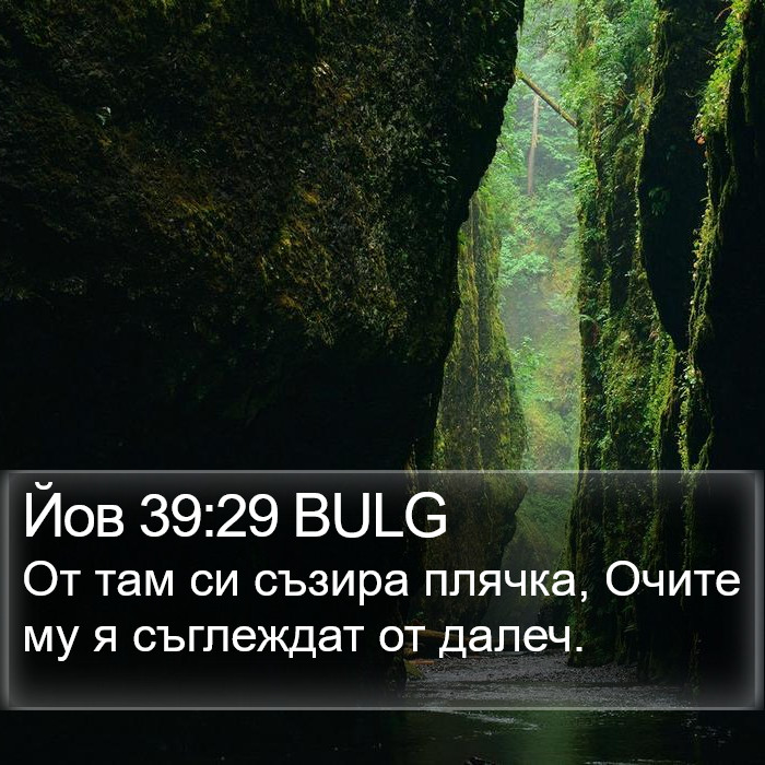 Йов 39:29 BULG Bible Study