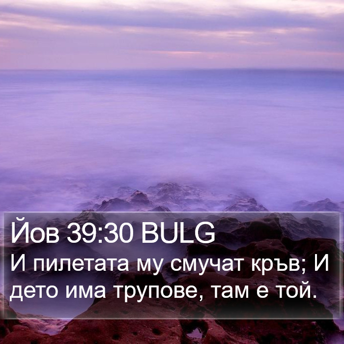 Йов 39:30 BULG Bible Study