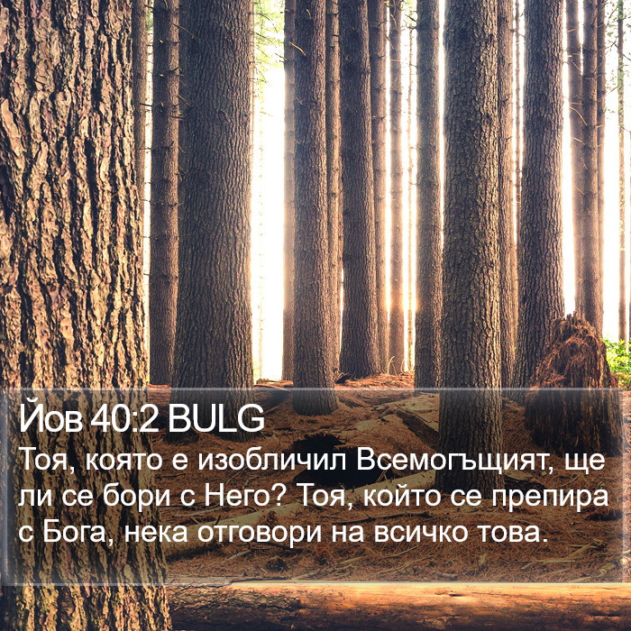 Йов 40:2 BULG Bible Study