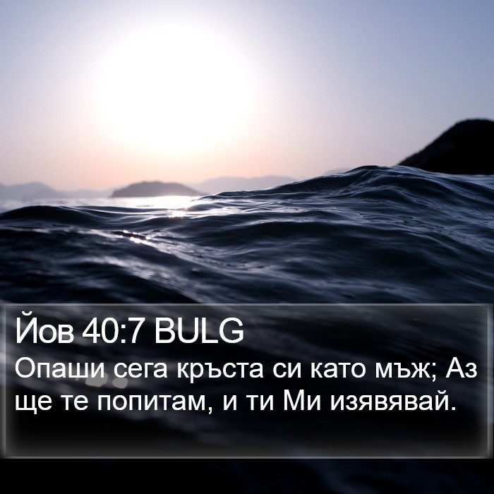 Йов 40:7 BULG Bible Study