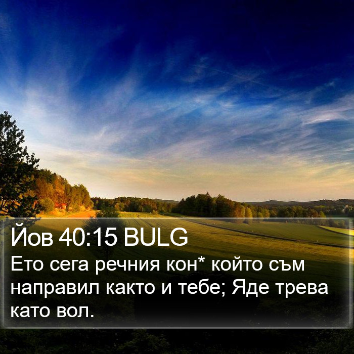 Йов 40:15 BULG Bible Study