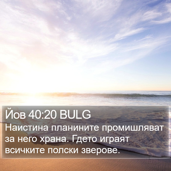 Йов 40:20 BULG Bible Study