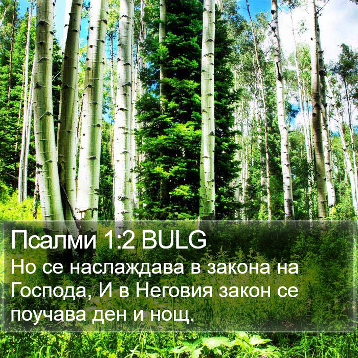 Псалми 1:2 BULG Bible Study