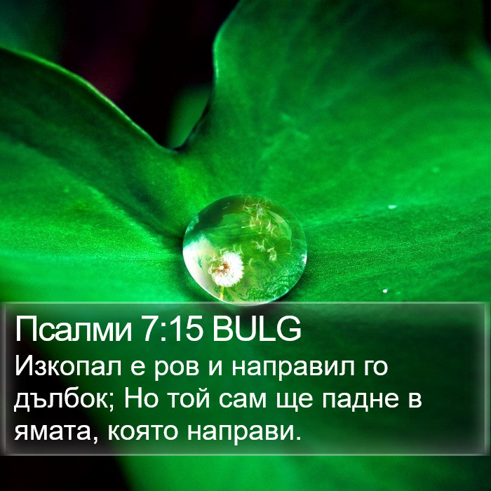 Псалми 7:15 BULG Bible Study