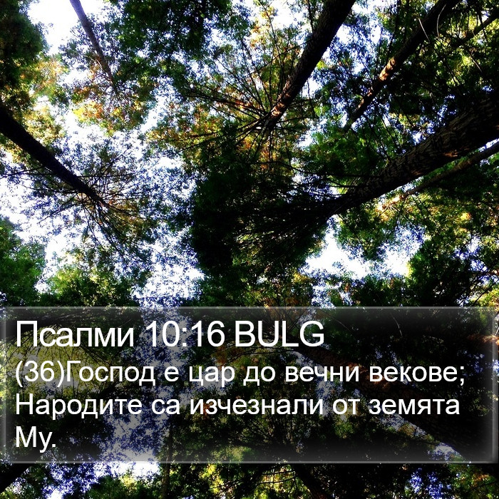 Псалми 10:16 BULG Bible Study