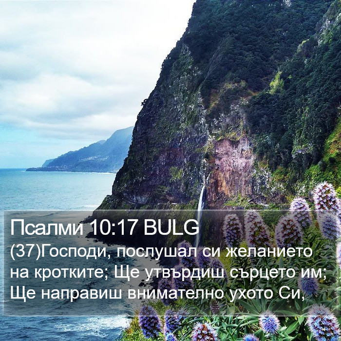 Псалми 10:17 BULG Bible Study