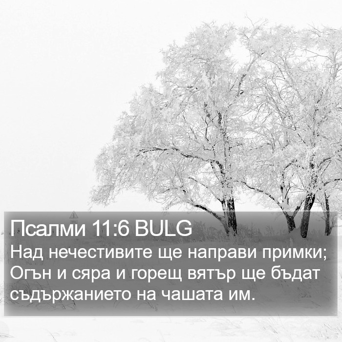 Псалми 11:6 BULG Bible Study