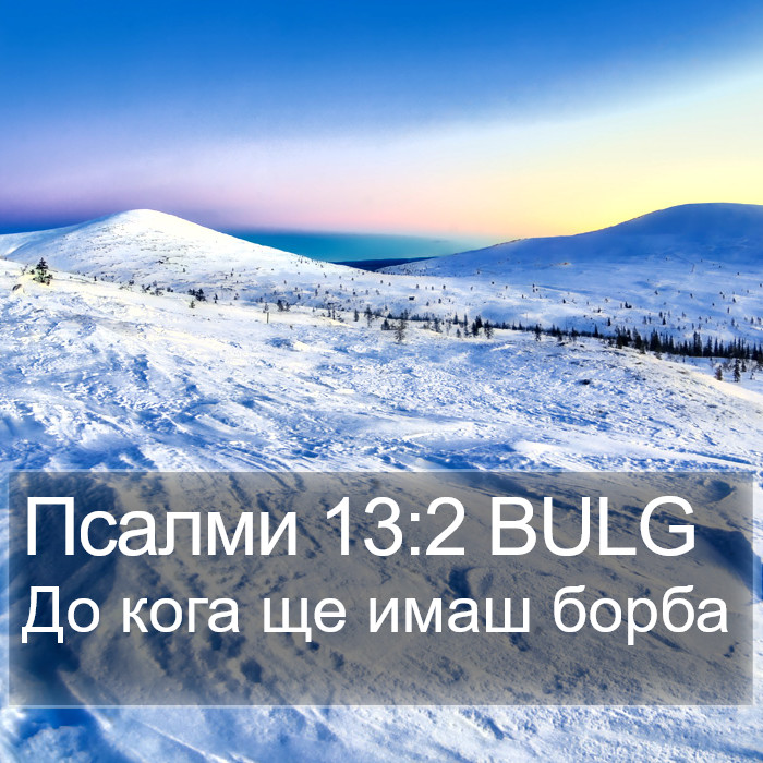 Псалми 13:2 BULG Bible Study
