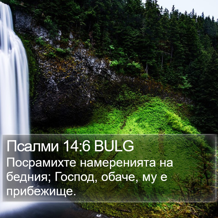 Псалми 14:6 BULG Bible Study