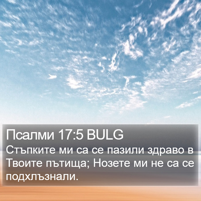 Псалми 17:5 BULG Bible Study