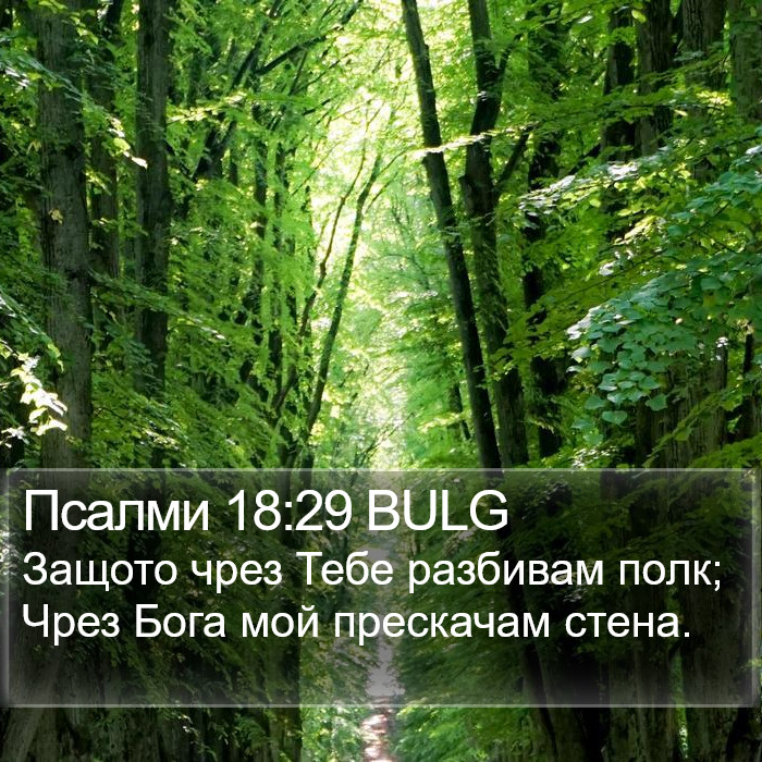 Псалми 18:29 BULG Bible Study