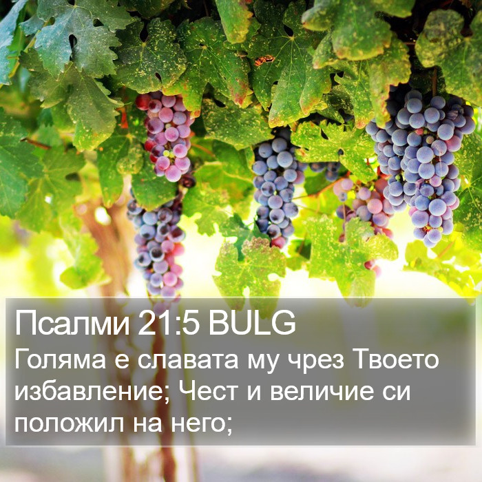 Псалми 21:5 BULG Bible Study