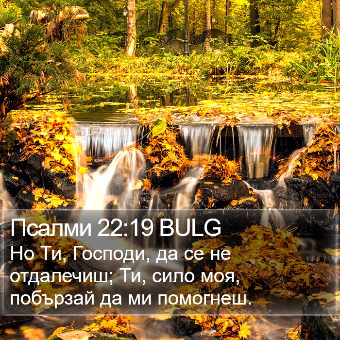 Псалми 22:19 BULG Bible Study