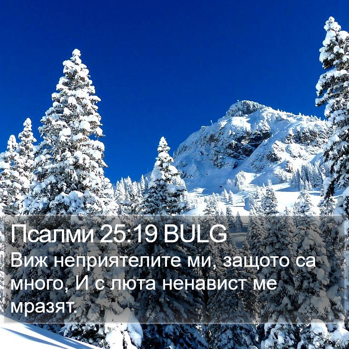 Псалми 25:19 BULG Bible Study