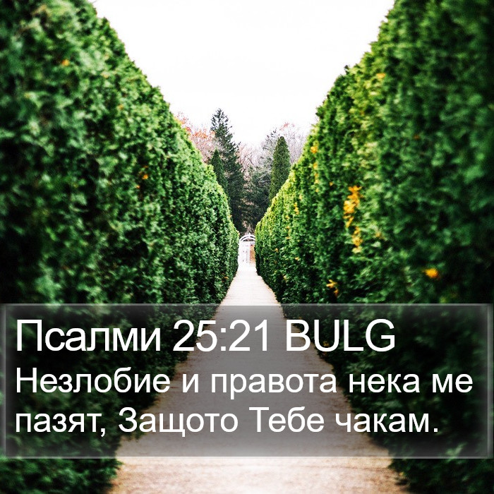 Псалми 25:21 BULG Bible Study