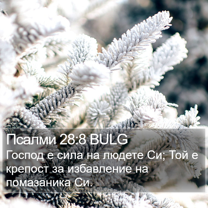 Псалми 28:8 BULG Bible Study