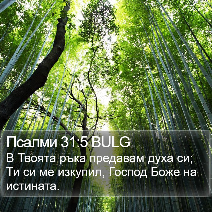 Псалми 31:5 BULG Bible Study