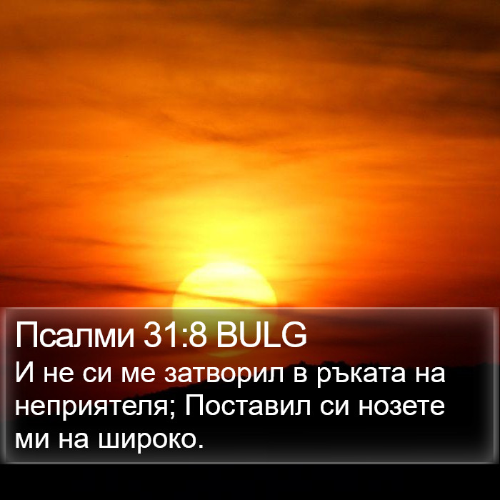 Псалми 31:8 BULG Bible Study