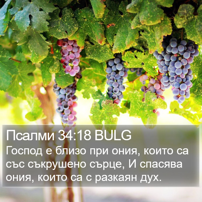 Псалми 34:18 BULG Bible Study