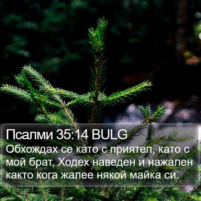 Псалми 35:14 BULG Bible Study