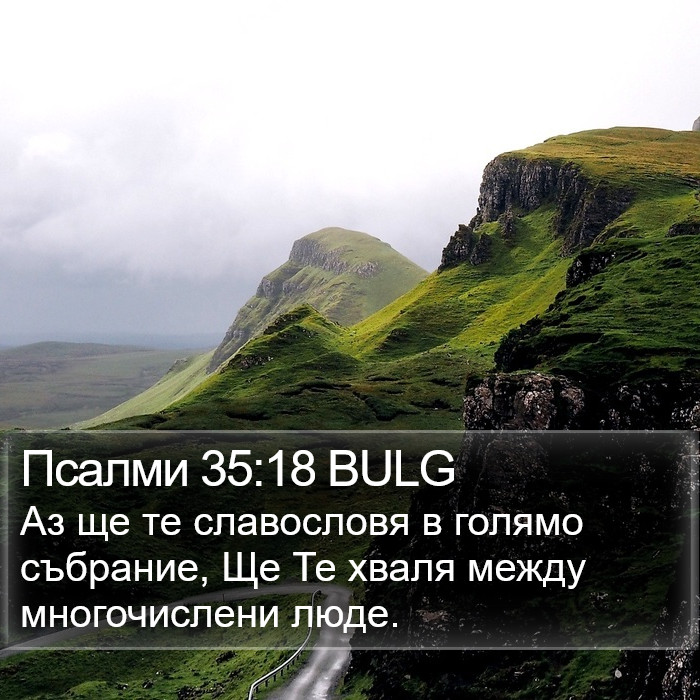 Псалми 35:18 BULG Bible Study