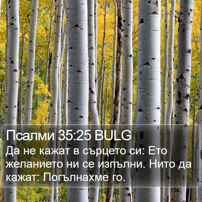 Псалми 35:25 BULG Bible Study