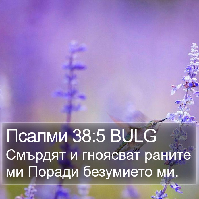 Псалми 38:5 BULG Bible Study