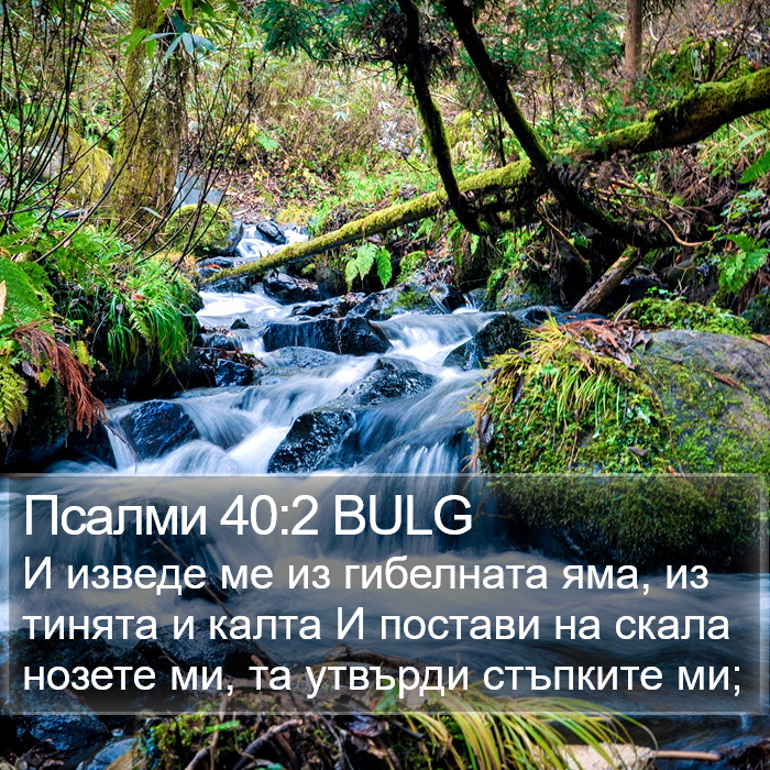 Псалми 40:2 BULG Bible Study