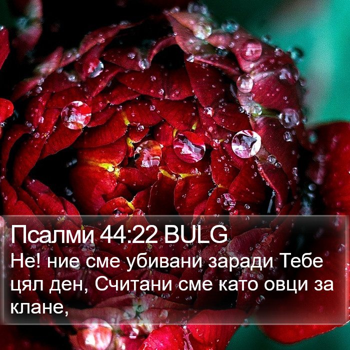 Псалми 44:22 BULG Bible Study