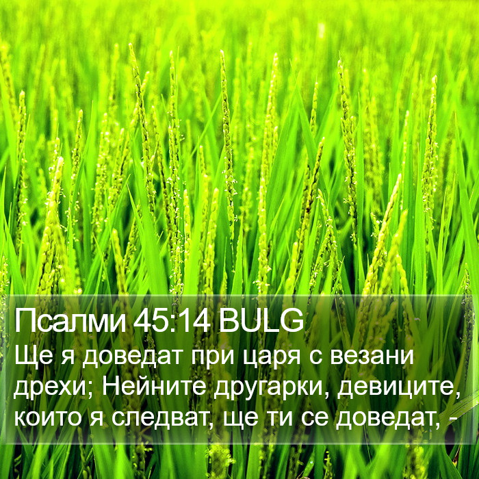 Псалми 45:14 BULG Bible Study